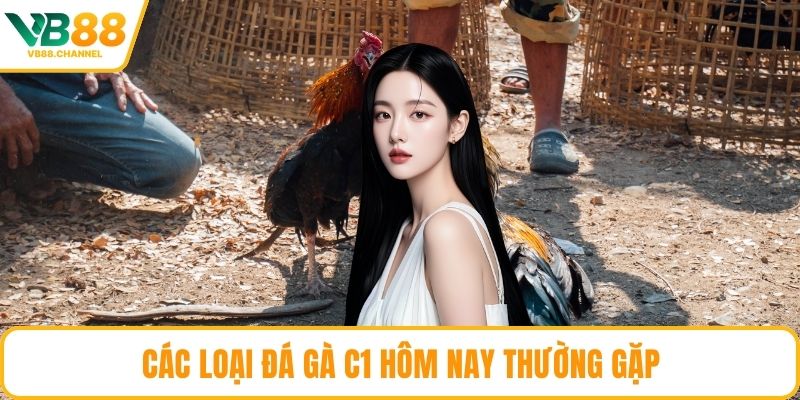 Các loại đá gà C1 hôm nay thường gặp