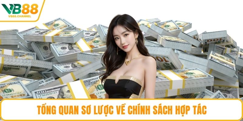 Tổng quan sơ lược về chính sách hợp tác
